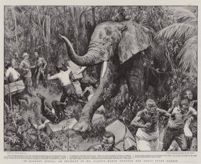 Im dunkelsten Afrika, ein Vorfall von Mr. Lloyds Marsch durch den großen Pygmäenwald von Frank Dadd